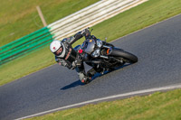 PJ-Motorsport-Photography-2018;enduro-digital-images;event-digital-images;eventdigitalimages;mallory-park;mallory-park-photographs;mallory-park-trackday;mallory-park-trackday-photographs;no-limits-trackdays;peter-wileman-photography;racing-digital-images;trackday-digital-images;trackday-photos